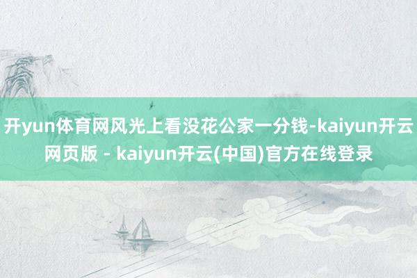 开yun体育网风光上看没花公家一分钱-kaiyun开云网页版 - kaiyun开云(中国)官方在线登录